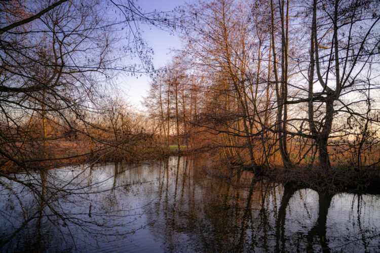 canal de la bruche nature