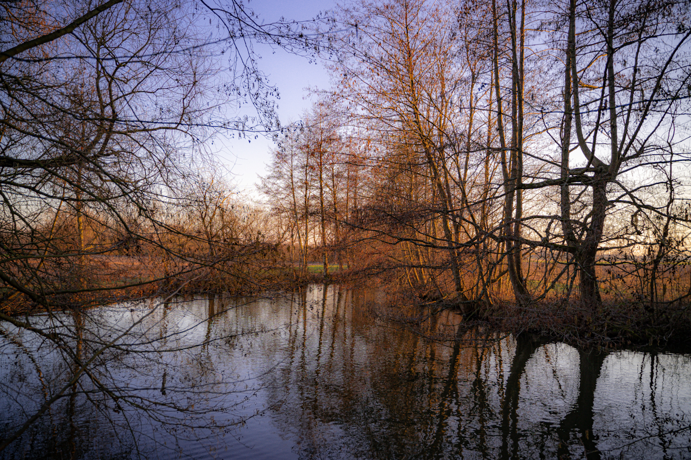 canal de la bruche nature