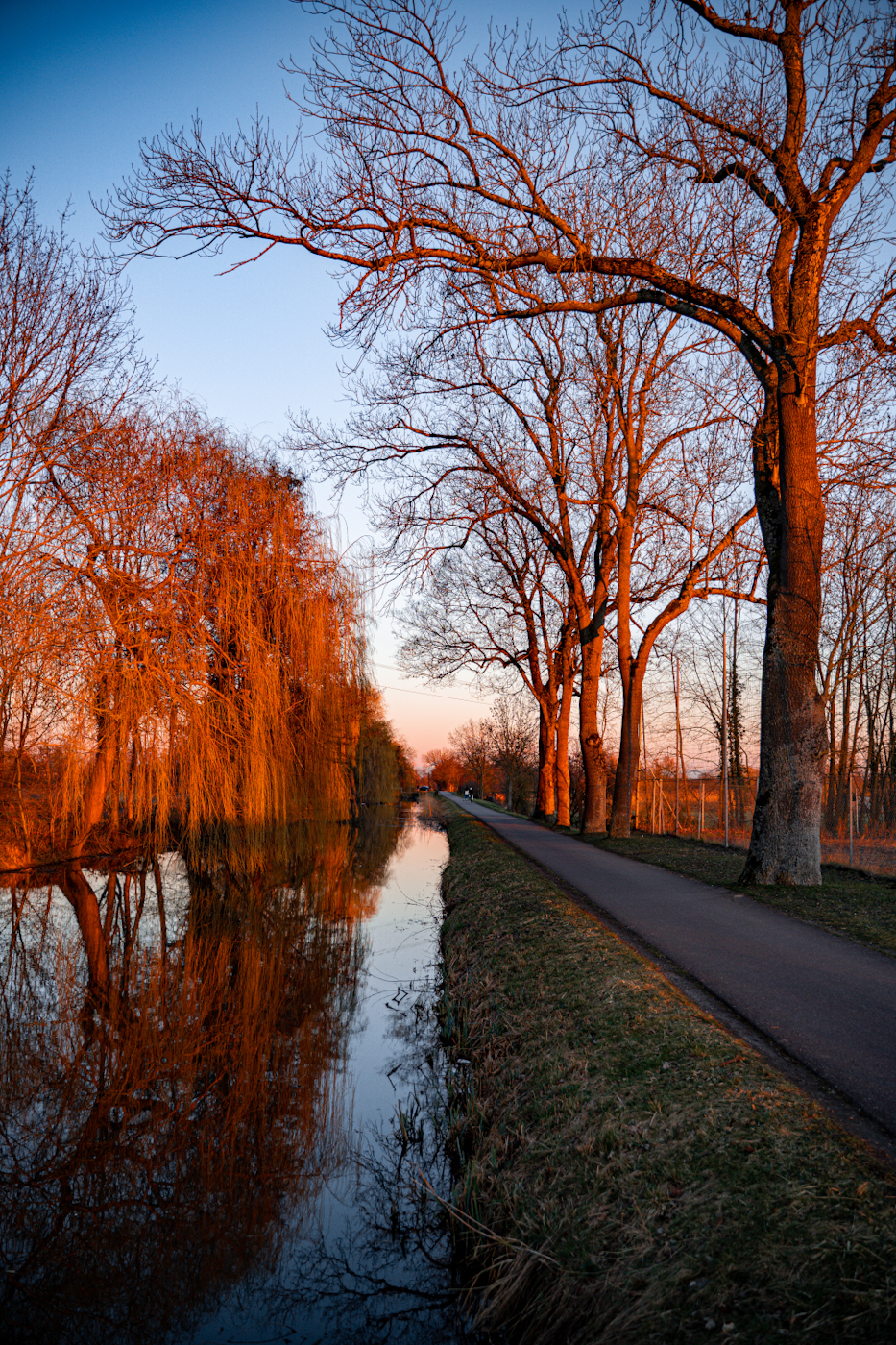canal de la bruche nature