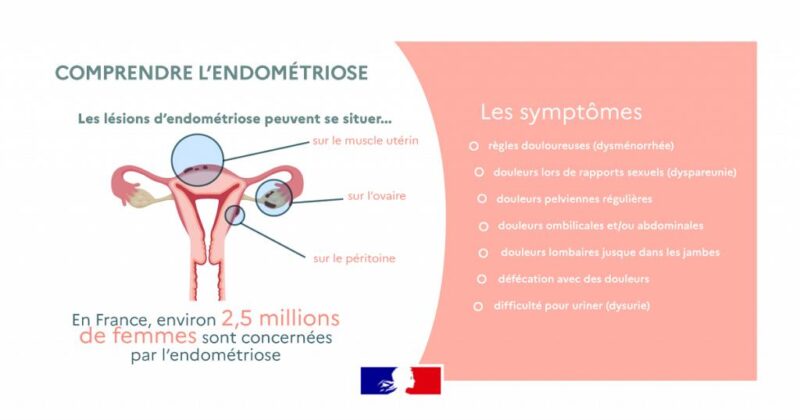 Grands projets à 296 millions d'euros et « congé de santé gynécologique » : ce que Strasbourg a décidé hier