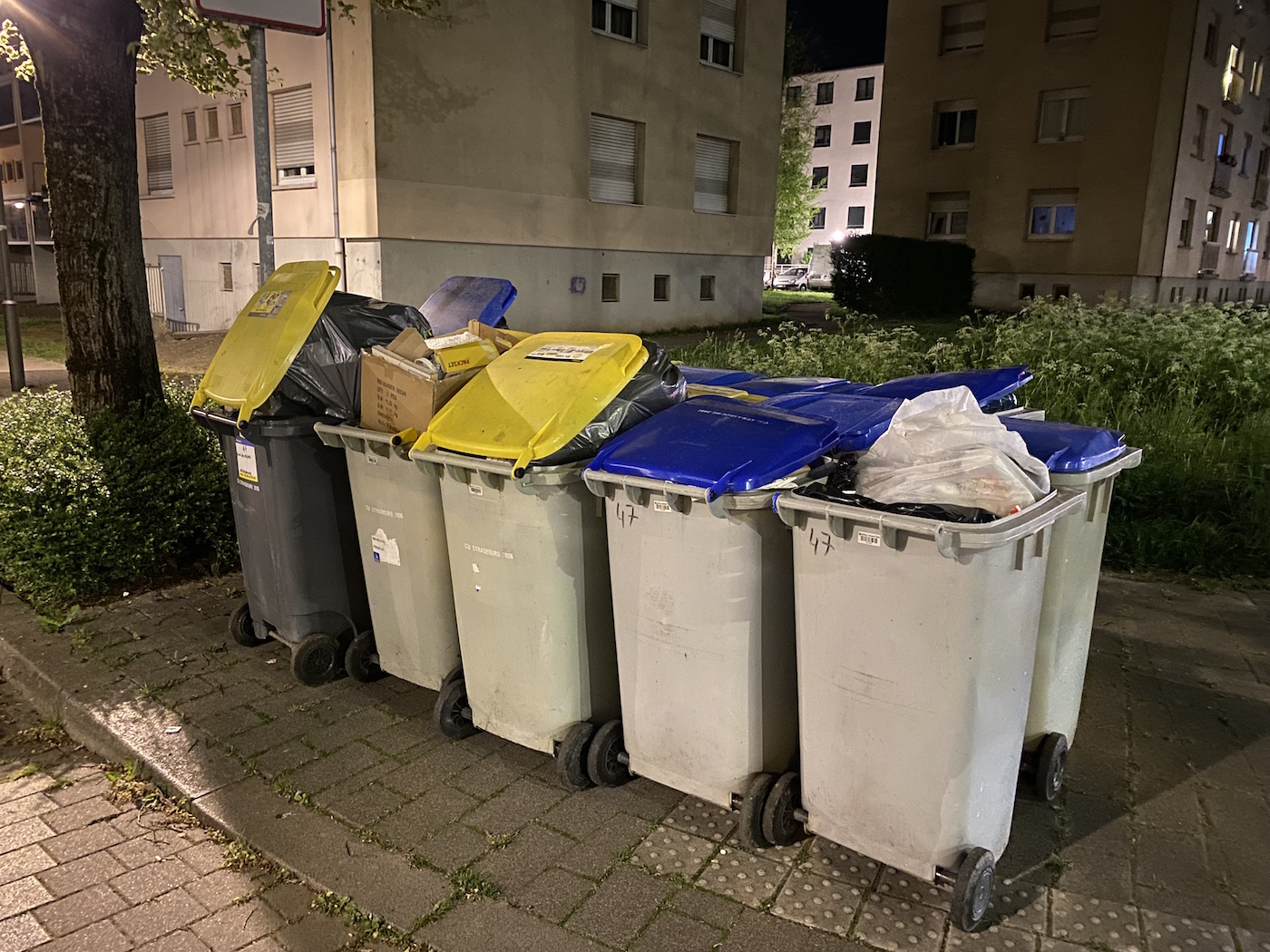 Des poubelles pas collectées à Strasbourg