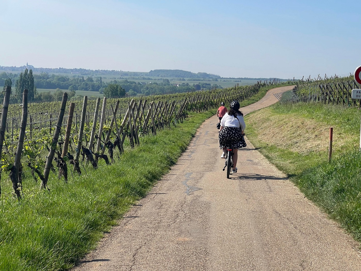 route des vins vignes alsace vélo