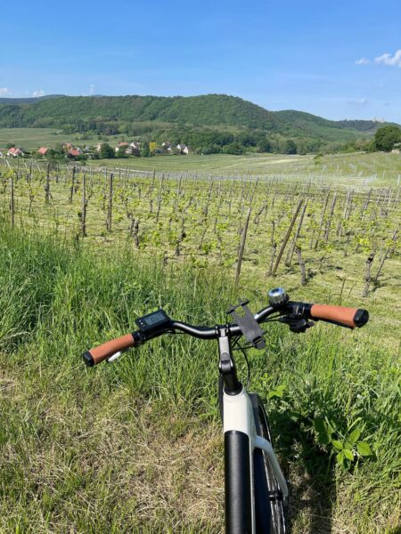 route des vins vignes alsace vélo