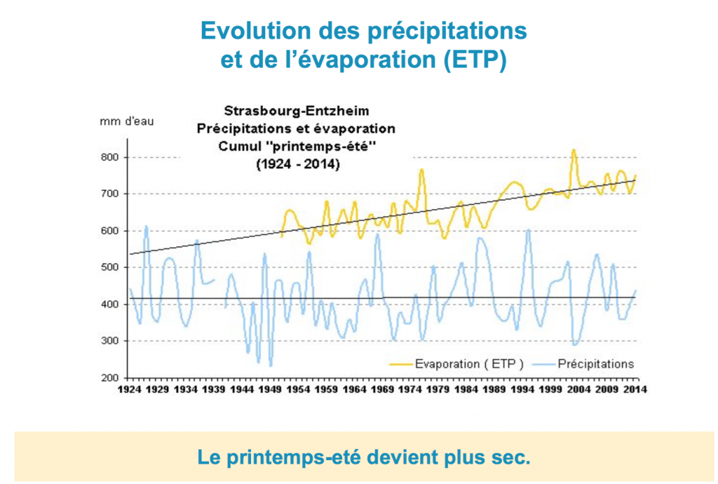 Évolution des précipitations et de l'évaporation à Strasbourg entre 1924 et 2014
