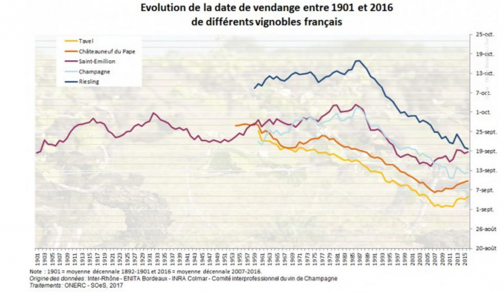 Évolution de la date des vendanges de différents raisins français