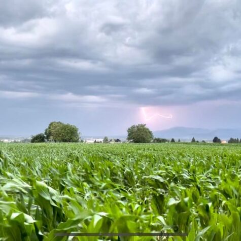Orage