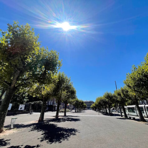 Illustration canicule