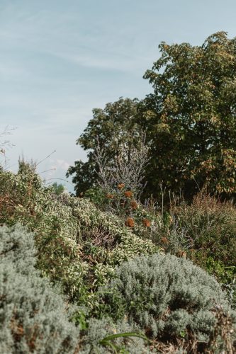 Le Jardin des Deux Rives,octobre, couleurs