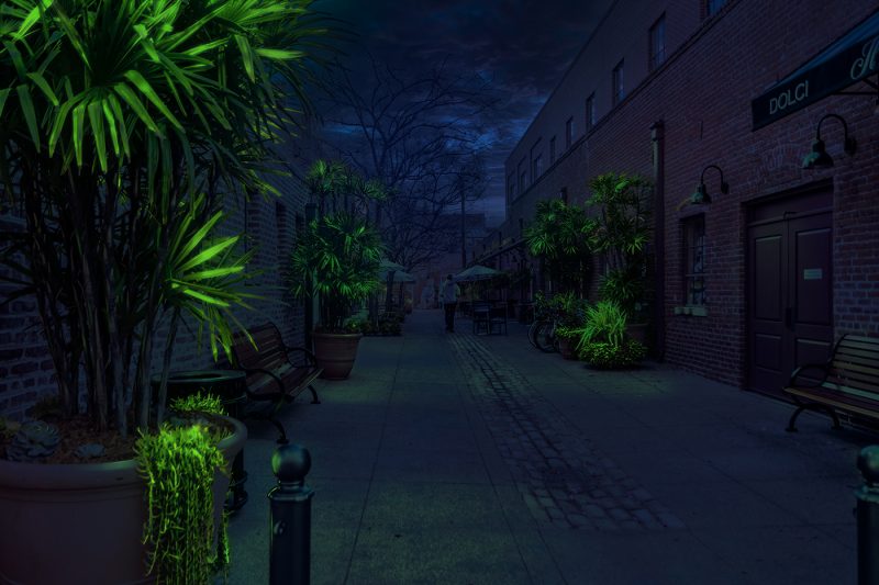 Plantes bioluminescentes