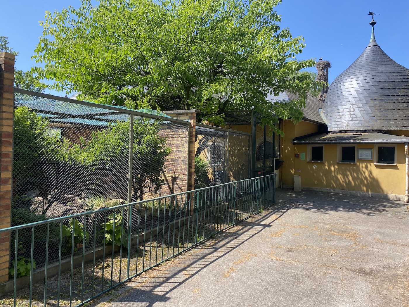 zoo orangerie