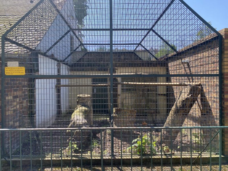 cages zoo orangerie