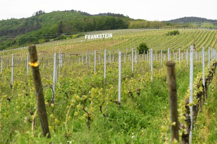Tournée des terroirs Dambach (6)