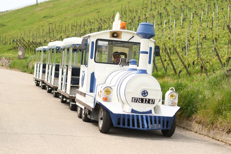 Tournée des terroirs Dambach (9)