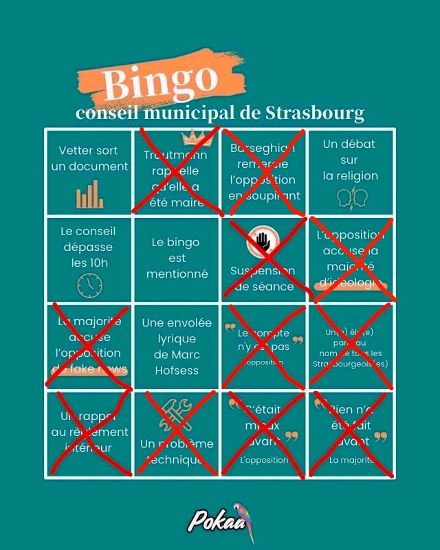 bingo CM