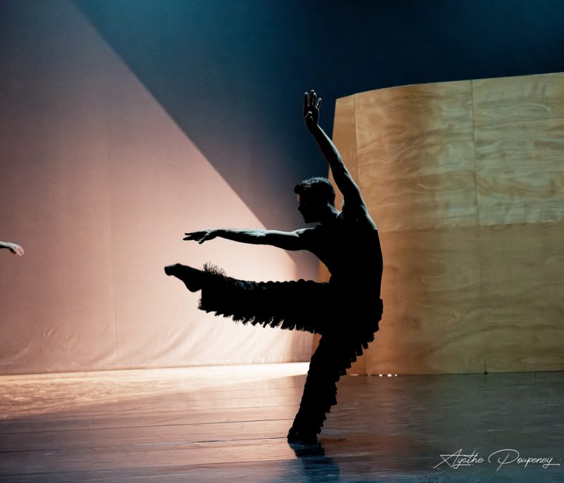 BONR + Ballet national du rhin + spectres europe + enemy in the figure + william forsythe