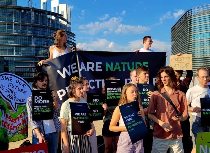 Youth for climate Greta Thunberg parlement projet de loi nature