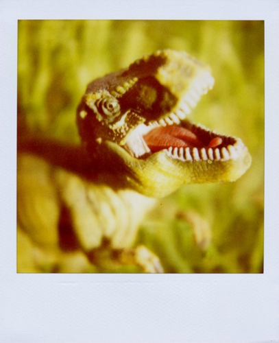 Polaroid dinosaure