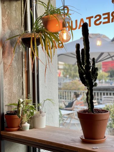 La Bouture Café restaurant végane végétal