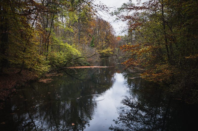 Réserve naturelles Robertsau La Wantzenau Nature en ville