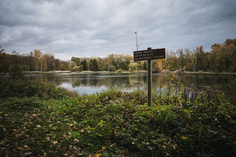 Réserve naturelles Robertsau La Wantzenau Nature en ville