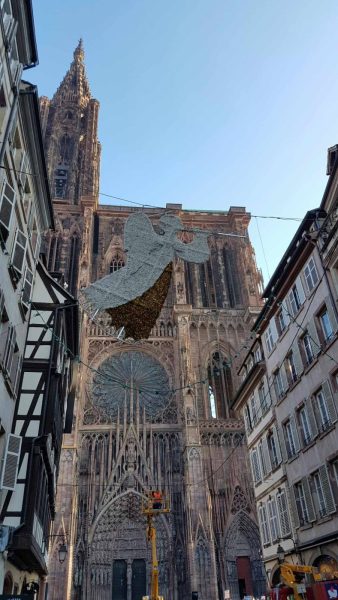 anges + Les Vitrines de Strasbourg