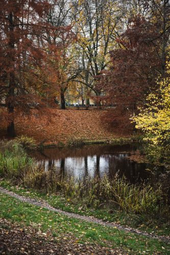 Nature en ville parcs et jardin ville de Strasbourg
