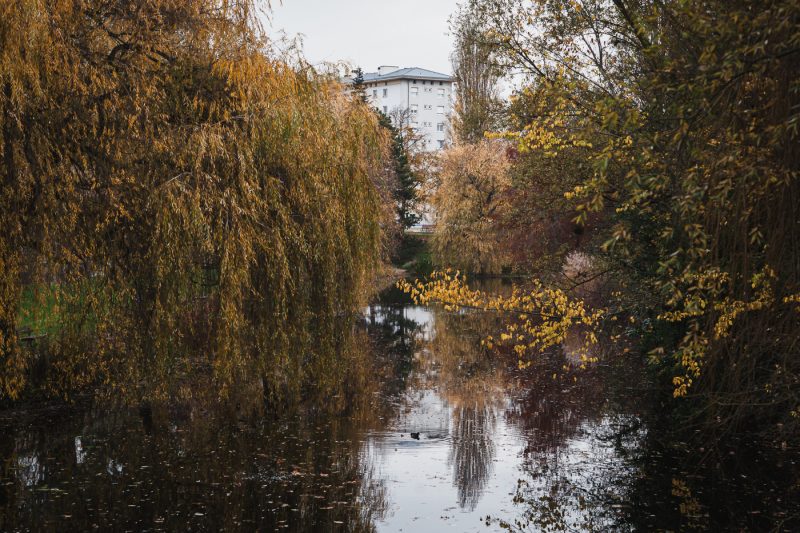 Nature en ville parcs et jardin ville de Strasbourg