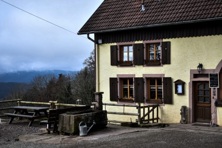 FERME AUBERGE DU PROMONT JULIA WENCKER VUE