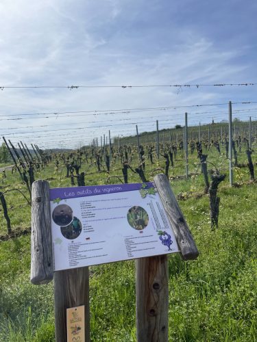 Panneau information vignes