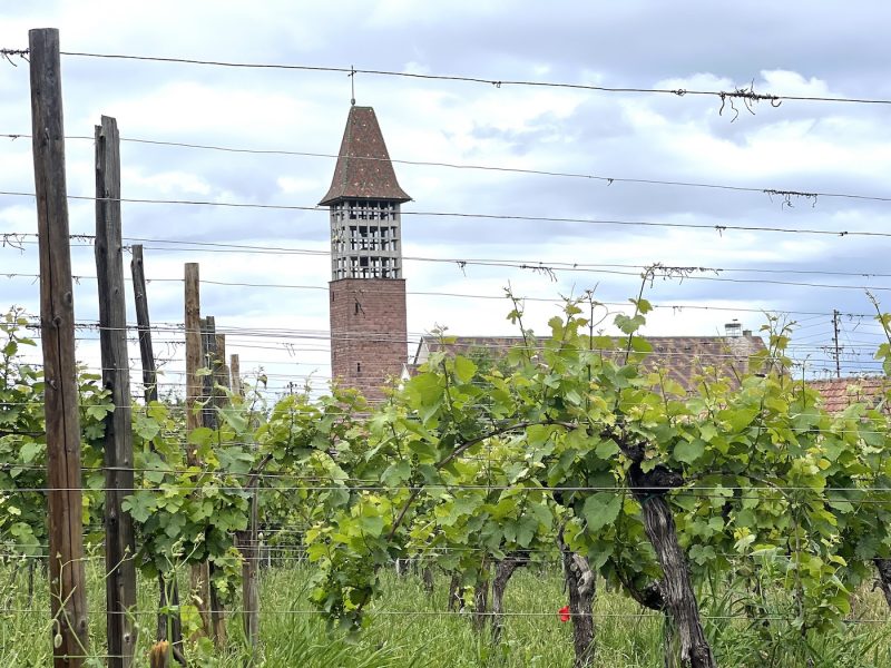 Bestheim vin boutique vin sans alcool cuvée vigne