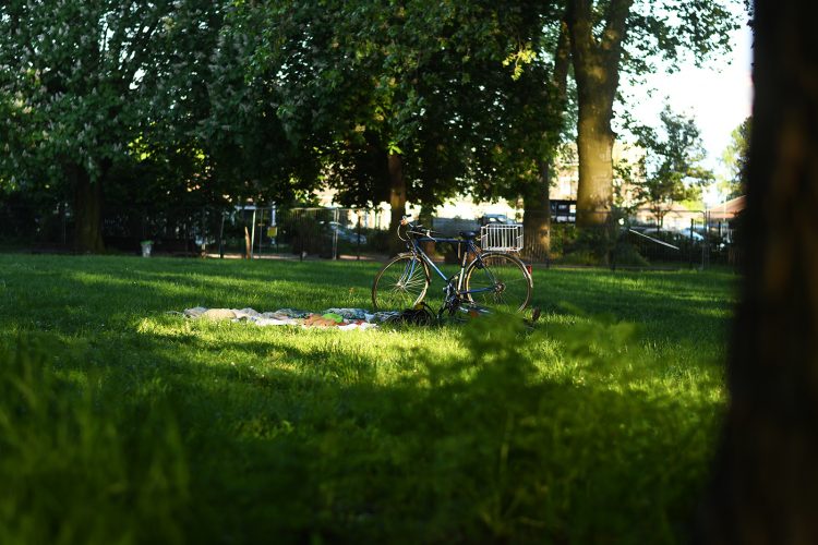 parc citadelle (1) vélo