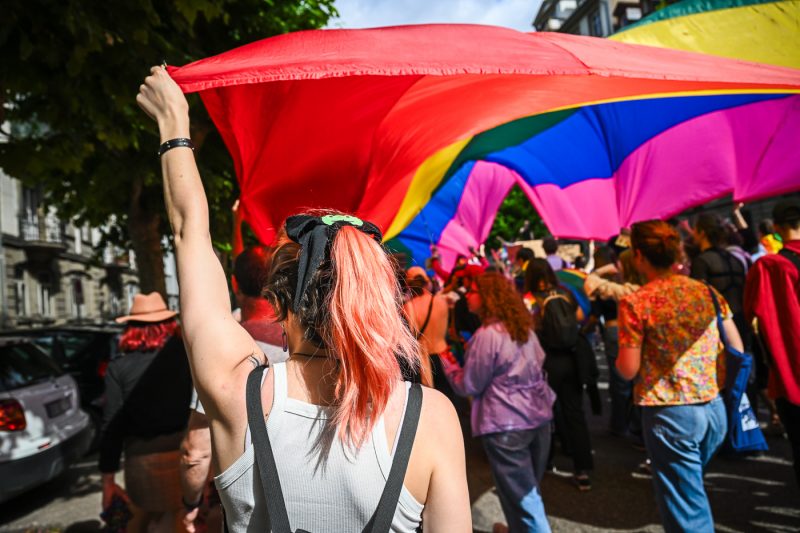 Pride Marche des fiertés Queer manifestation