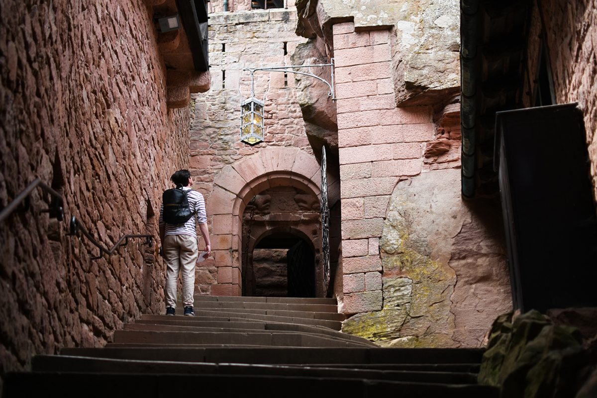 Château Haut-Koenigsbourg (14)