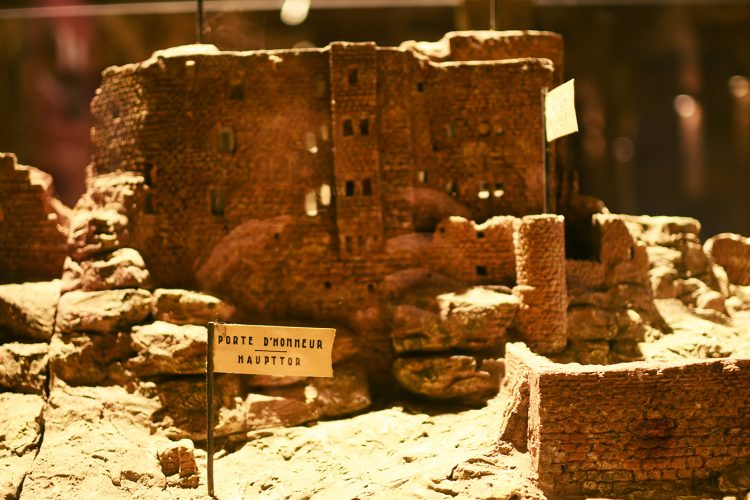 Château Haut-Koenigsbourg (23)