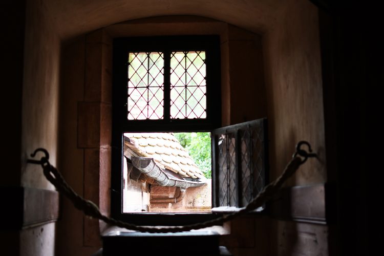 Château Haut-Koenigsbourg (38)