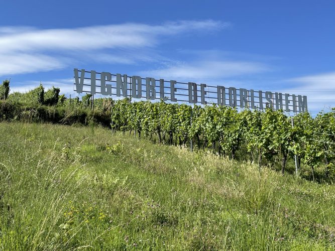 Randonnée Vignoble Dorlisheim