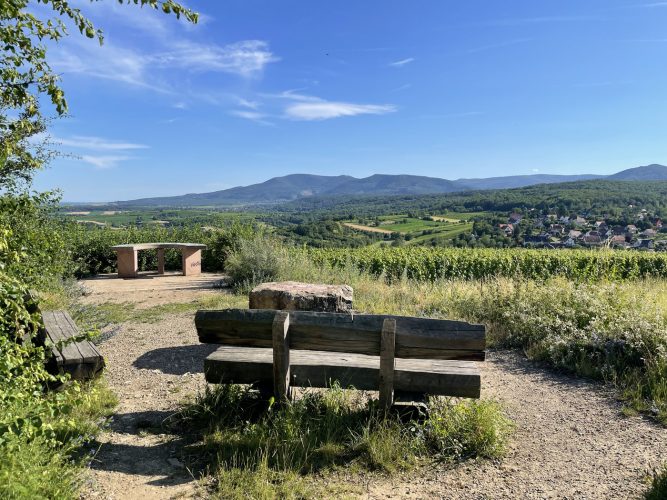 Randonnée Vignoble Dorlisheim – Vue sur Rosenwiller