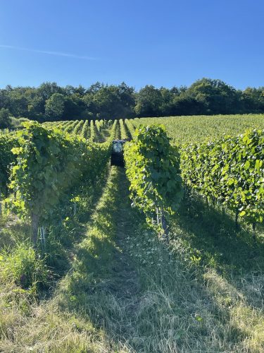 Randonnée Vignoble Dorlisheim – tracteur vigne