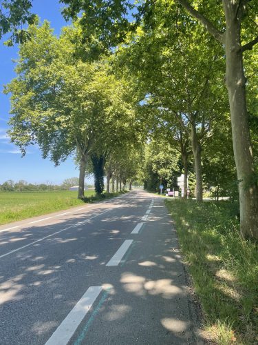 Bande cyclable Wantzenau