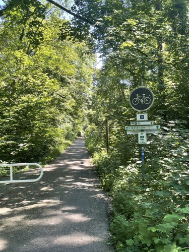 Piste cyclable Forêt Robertsau