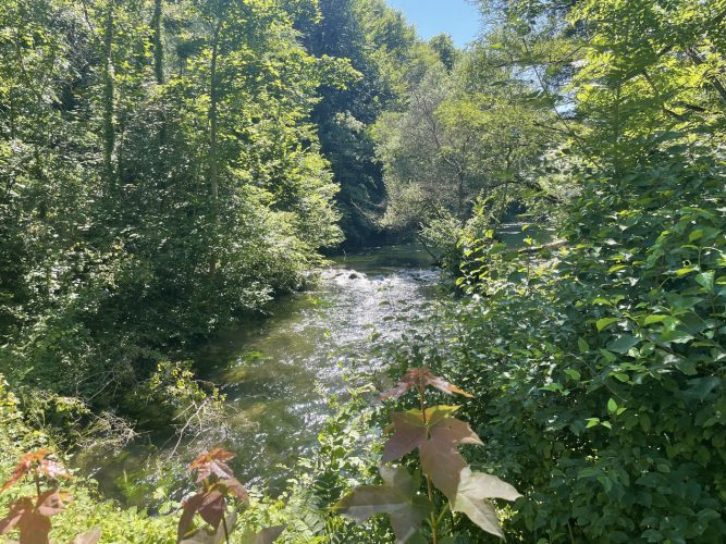 Aire Pique-nique cascade Forêt Robertsau