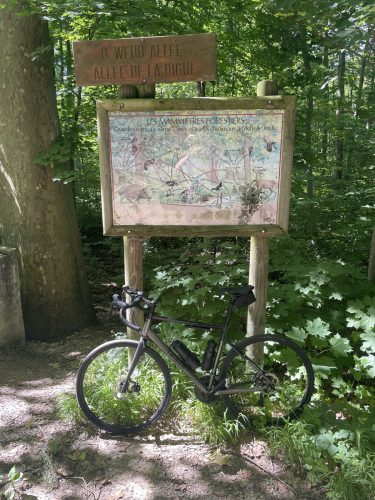 Panneau et vélo forêt Robertsau