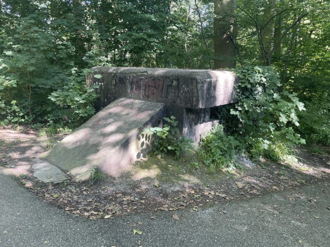 Bunker Forêt Roberstau