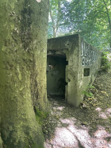 Bunker – Forêt Robertsau