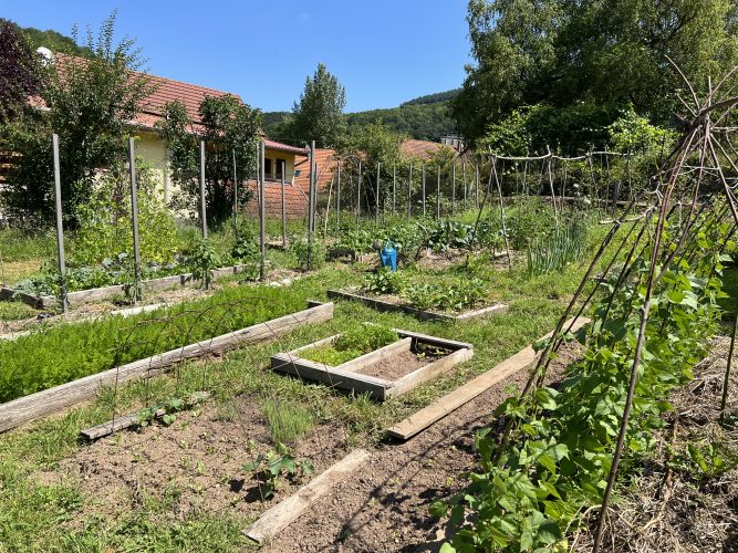 Huna restaurant gastronomique Potager jardin fermentation campagne conservation