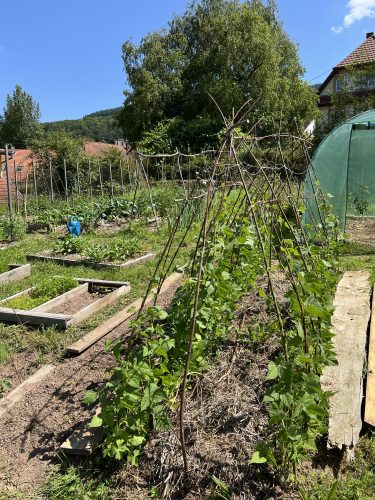 Huna restaurant gastronomique Potager jardin fermentation campagne conservation