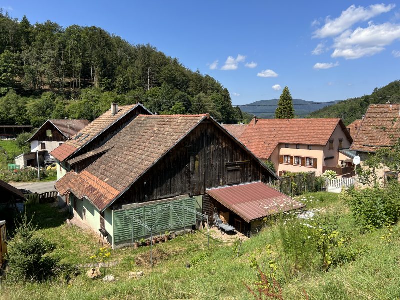 Huna restaurant gastronomique Potager jardin fermentation campagne conservation