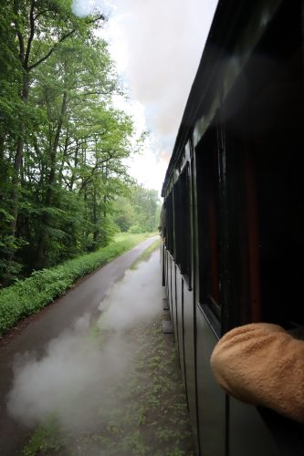 Voyage en train à vapeur