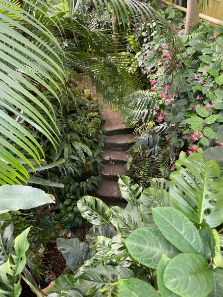 jardin botanique