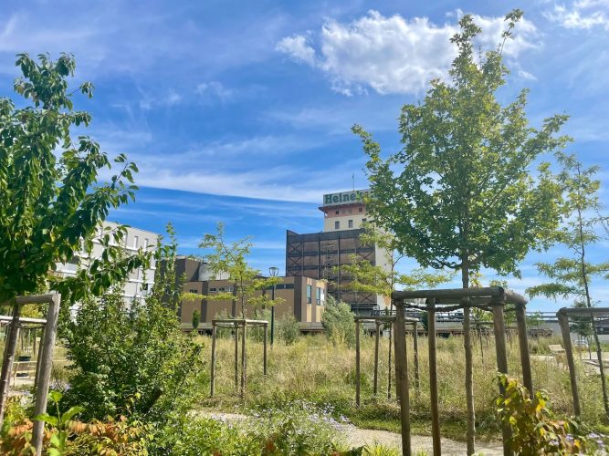 parc caddie schiltigheim